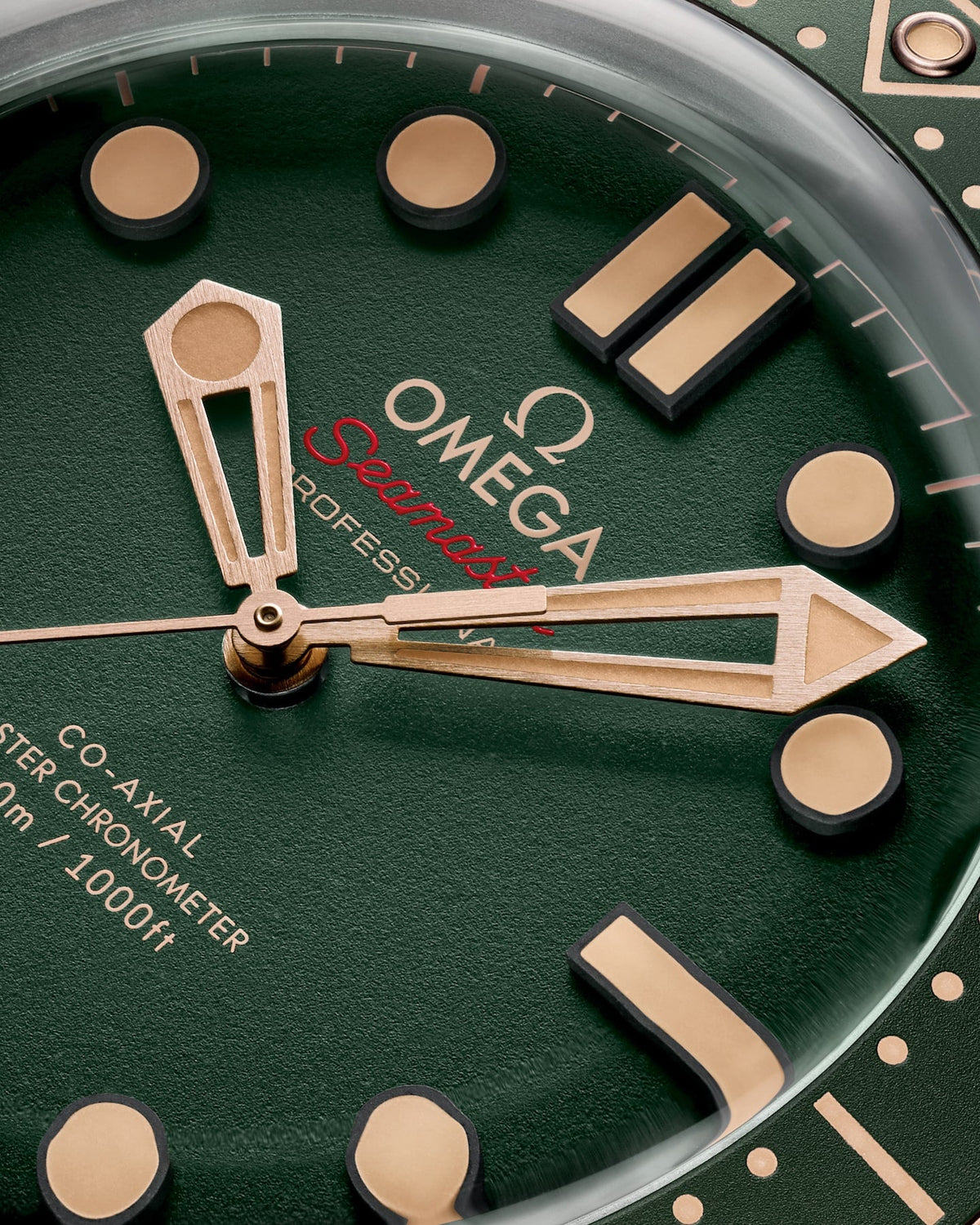 Seamaster Diver 300M 42 mm, titanio